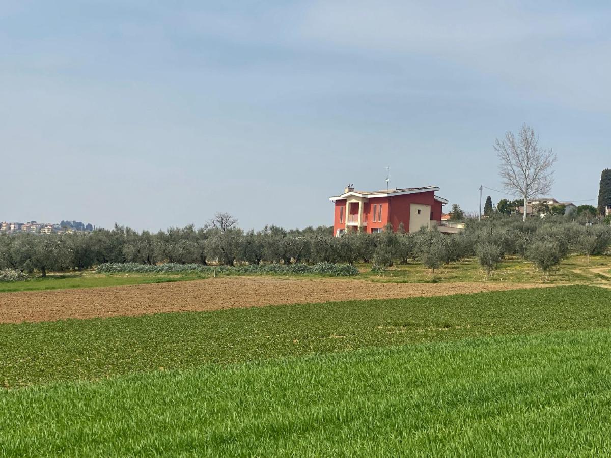 Olea B&B Montecosaro  Exterior photo