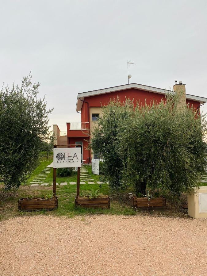 Olea B&B Montecosaro  Exterior photo