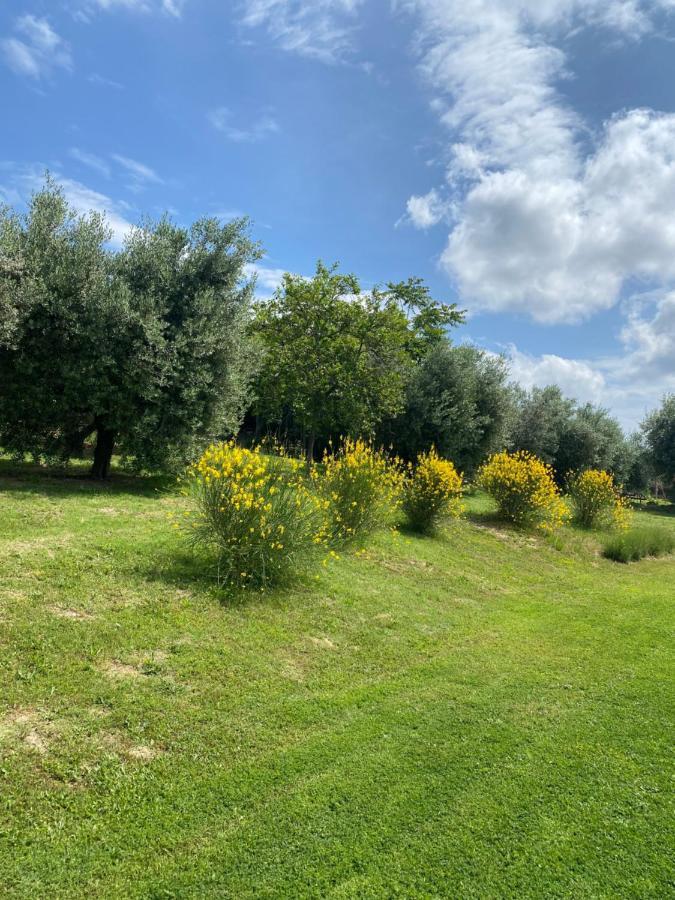 Olea B&B Montecosaro  Exterior photo